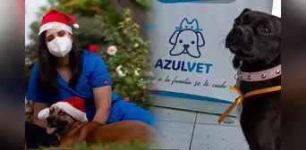 Fue despedida por estar embarazada y hoy es dueña de una de las veterinarias más grandes de Lima: la historia de Azulvet Fue despedida por estar embarazada y hoy es dueña de una de las veterinarias más grandes de Lima: la historia de Azulvet