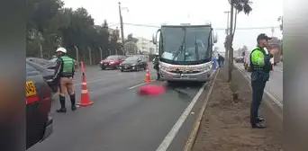 Panamericana sur: un fallecido tras accidente que involucra a bus de turismo Panamericana sur: un fallecido tras accidente que involucra a bus de turismo
