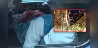 Asesinan a hombre en Los Olivos: sospechosos esperaron horas en patrullero de Serenazgo por demora de PNP