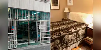 FRAZADAS TIGRE: esta es la única tienda de Lima que vende las originales de Santa Catalina, a precios baratos FRAZADAS TIGRE: esta es la única tienda de Lima que vende las originales de Santa Catalina, a precios baratos
