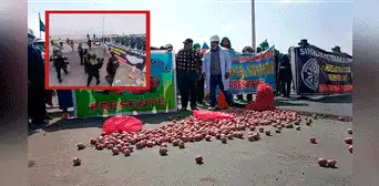 Bloquean con cebollas frontera Perú-Chile: trabajadores de Senasa exigen mejora en sueldos