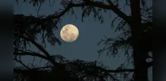 Calendario lunar julio 2024: cuándo ver la luna llena y las otras fases del satélite natural de la Tierra