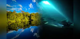 El manantial de agua dulce más grande del mundo está en América: alcanza una profundidad de 56 metros