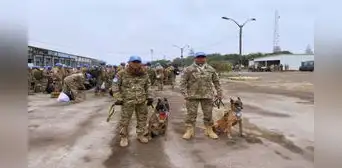 ¡Zarex y Divix se van a África! Conoce a los perros peruanos que participarán en misión de paz de la ONU