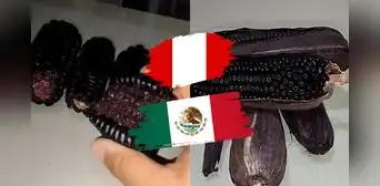 Mexicano compara el maíz morado peruano con el de su país y queda sorprendido: “Me gustó más”