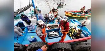 Pescadores artesanales rechazan reglamento de Ley 31749 porque pone en riesgo el mar peruano Pescadores artesanales rechazan reglamento de Ley 31749 porque pone en riesgo el mar peruano