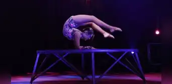 American Circus: Anuncia 'Mística', show del mundo mágico del circo a través de los ojos de una niña American Circus: Anuncia 'Mística', show del mundo mágico del circo a través de los ojos de una niña
