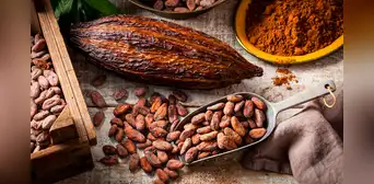 Estudio científico revela el país de América Latina donde se originó el cacao y como se esparció por el mundo Estudio científico revela el país de América Latina donde se originó el cacao y como se esparció por el mundo