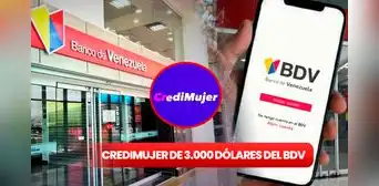 Credimujer del Banco de Venezuela 2024: consulta con cédula cómo ACTIVAR el préstamo de 3.000 dólares Credimujer del Banco de Venezuela 2024: consulta con cédula cómo ACTIVAR el préstamo de 3.000 dólares