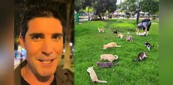 Uruguayo visita Perú y queda impactado al conocer el “parque de los gatos” en Miraflores: “Digno de destacar” Uruguayo visita Perú y queda impactado al conocer el “parque de los gatos” en Miraflores: “Digno de destacar”