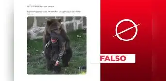 Imagen no muestra reciente ataque de oso a hombre en España