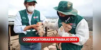 ¿Buscas trabajo? Senasa ofrece empleos con sueldos de hasta S/5.114 en Lima, Ica, Cusco y más: LINK para postular