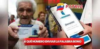 ¿Se ACTIVÓ un número para enviar la palabra BONO al Sistema Patria? Estos son los 3 ÚNICOS contactos HABILITADOS ¿Se ACTIVÓ un número para enviar la palabra BONO al Sistema Patria? Estos son los 3 ÚNICOS contactos HABILITADOS