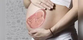 Mortalidad materna: más de 200 mujeres embarazadas perdieron la vida en el 2023