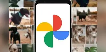 ¿Nueva red social a la vista? Google Fotos incluirá 'Stories' que los usuarios podrán comentar ¿Nueva red social a la vista? Google Fotos incluirá 'Stories' que los usuarios podrán comentar