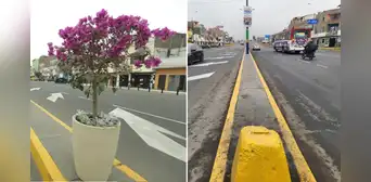 Vecinos de SMP denuncian que Rafael López Aliaga renueva av. Perú, pero luego se llevan las macetas tras ceremonia