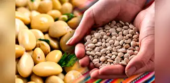 El 'superalimento' inca que crece hasta en 3 países de América Latina: combate la anemia, la diabetes y más