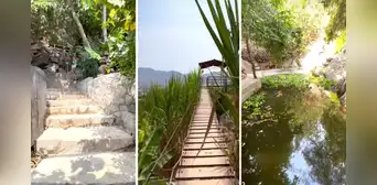 ¿Sabías que uno de los distritos más poblados de Lima tiene una selva escondida?: la entrada cuesta S/6 ¿Sabías que uno de los distritos más poblados de Lima tiene una selva escondida?: la entrada cuesta S/6