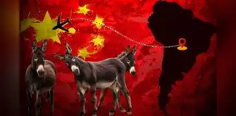 Estos son los 2 países de Sudamérica que exportan carne de burro a China: conoce el motivo de su gran demanda