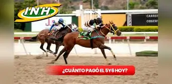 ¿Cuánto pagó el 5y6 de La Rinconada del domingo 14 de julio? Revisa los dividendos y montos del INH EN VIVO ¿Cuánto pagó el 5y6 de La Rinconada del domingo 14 de julio? Revisa los dividendos y montos del INH EN VIVO