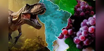 Las uvas aparecieron en 2 países de Sudamérica gracias a la extinción de los dinosaurios, según estudio