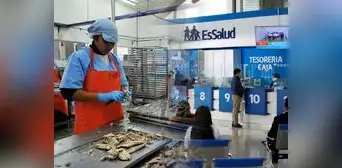 EsSalud brinda un subsidio por incapacidad temporal: conoce los requisitos y cómo acceder si eres asegurado EsSalud brinda un subsidio por incapacidad temporal: conoce los requisitos y cómo acceder si eres asegurado