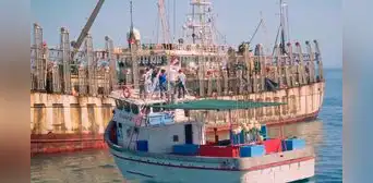 Pescadores artesanales de Piura graban cómo barcos chinos ingresan a zona prohibida del mar peruano Pescadores artesanales de Piura graban cómo barcos chinos ingresan a zona prohibida del mar peruano