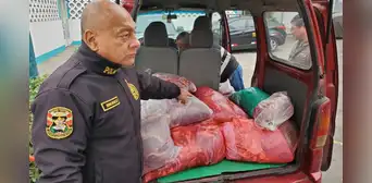 Capturan a comerciantes que pretendían vender 350 kilos de carne de caballo en Puente Piedra