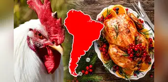 El país de Sudamérica con el mayor consumo de pollo en toda la región: supera a Perú y Brasil con 48 kg por persona El país de Sudamérica con el mayor consumo de pollo en toda la región: supera a Perú y Brasil con 48 kg por persona