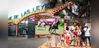 Celebración de Fiestas Patrias en el Parque de las Leyendas: actividades especiales del 20 al 29 de julio