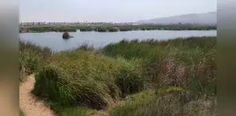 Chorrillos: encuentran un feto abandonado a pocos metros de los Pantanos de Villa