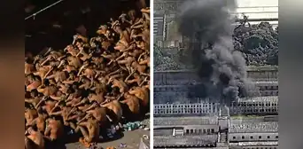 Presos se amotinan y generan incendio en cárcel de Brasil por sobrepoblación crítica: no se reportaron muertos