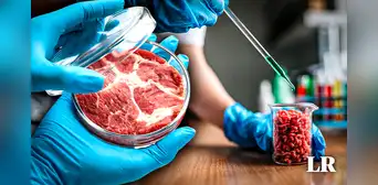 El 'boom' de la carne artificial: ¿cómo la manipulación genética nos ofrecerá alimentarnos con sintéticos?