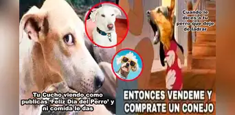 Día Mundial del Perro 2024: Disfruta los memes más hilarantes para celebrar a nuestro mejor amigo de 4 patas