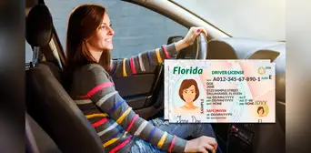 Licencia de conducir en Florida: esta es la nueva medida que entrará en vigor a fines de julio