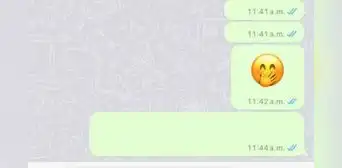 WhatsApp: así podrás enviar mensajes invisibles sin instalar ninguna app en tu celular