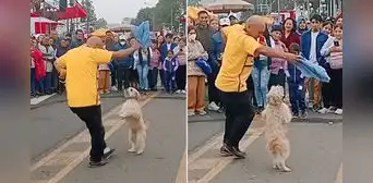 Perrito se convierte en viral al bailar marinera tras desfile y dicen: “Peruano de corazón”