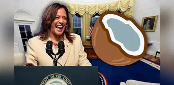 Kamala Harris: ¿por qué relacionan el emoji de coco con la vicepresidenta de Estados Unidos? Kamala Harris: ¿por qué relacionan el emoji de coco con la vicepresidenta de Estados Unidos?