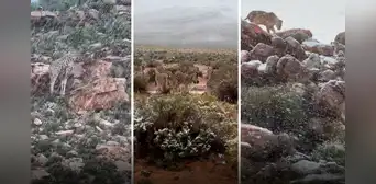 Cae nieve en África: las impresionantes imágenes, videos y la razón detrás del insólito fenómeno