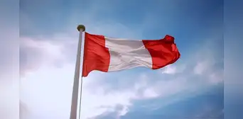 Fiestas Patrias: Conoce cuál es la diferencia entre bandera, pabellón y estandarte