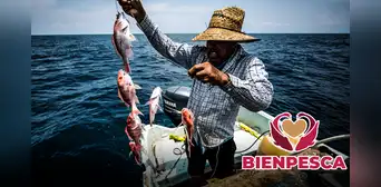 Bienestar 2024: conoce los importantes REQUISITOS para recibir los $7.500 pesos de Bienpesca