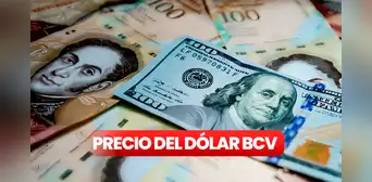 Precio del Dólar BCV y Dólar Paralelo, 30 de julio en Venezuela: cotización del Banco Central tras elecciones 2024 Precio del Dólar BCV y Dólar Paralelo, 30 de julio en Venezuela: cotización del Banco Central tras elecciones 2024