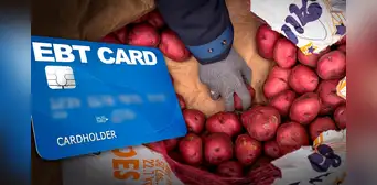 SNAP en Illinois 2024: estas son las FECHAS de pago en agosto del cupón de alimentos en Estados Unidos SNAP en Illinois 2024: estas son las FECHAS de pago en agosto del cupón de alimentos en Estados Unidos