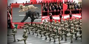 Perritos de la Brigada Canina del PNP ya no fueron parte de la Gran Parada Militar 2024 Perritos de la Brigada Canina del PNP ya no fueron parte de la Gran Parada Militar 2024
