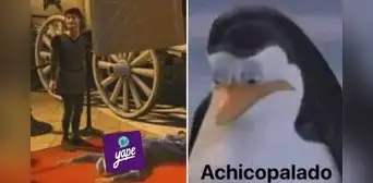 Yape y BCP sufren caída general y usuarios reaccionan con divertidos MEMES Yape y BCP sufren caída general y usuarios reaccionan con divertidos MEMES