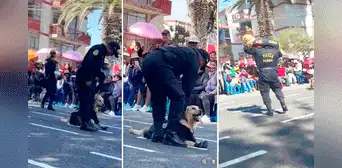 Perrito de la Policía desata las risas al negarse a marchar durante desfile por Fiestas Patrias en Tacna