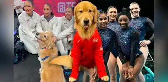 Conoce a Beacon, el perro Golden Retriever viral, que acompaña a Simone Biles y USA en los JJ. OO. París 2024 Conoce a Beacon, el perro Golden Retriever viral, que acompaña a Simone Biles y USA en los JJ. OO. París 2024