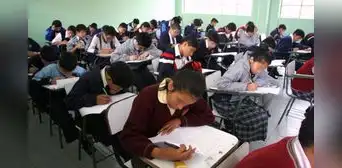 Conoce el curso que se dictará nuevamente después de 40 años: Minedu lo volverá a incluir en la malla escolar Conoce el curso que se dictará nuevamente después de 40 años: Minedu lo volverá a incluir en la malla escolar