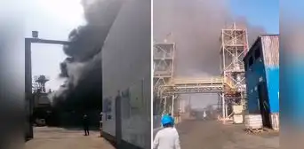 Incendio de gran magnitud en almacén de Lurín: municipio clausura local tras fallo de maquinaria