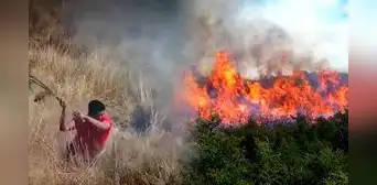Incendio forestal en Huánuco arrasa más de 150 hectáreas de bosques y afecta a menor Incendio forestal en Huánuco arrasa más de 150 hectáreas de bosques y afecta a menor
